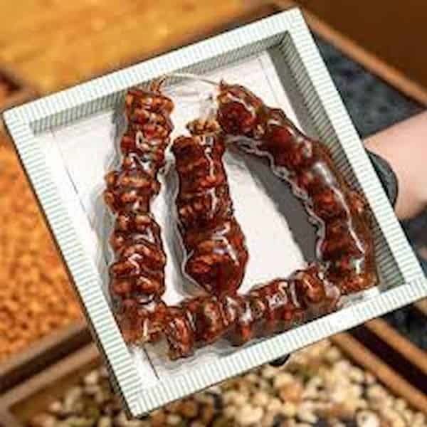 تصویر 2 از خرید و قیمت سوجوق گردویی شیراز + فروش عمده